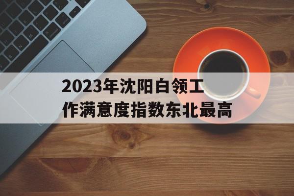 2023年沈阳白领工作满意度指数东北最高