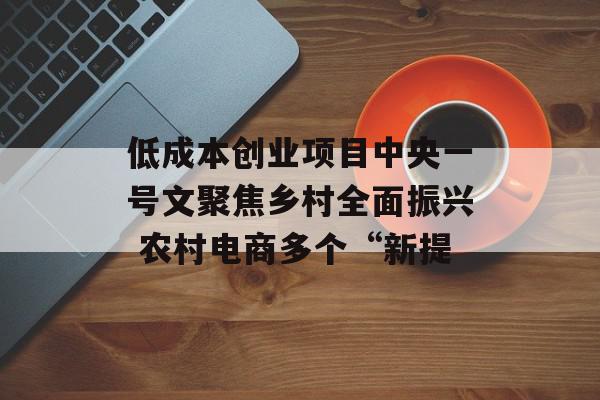 低成本创业项目中央一号文聚焦乡村全面振兴 农村电商多个“新提
