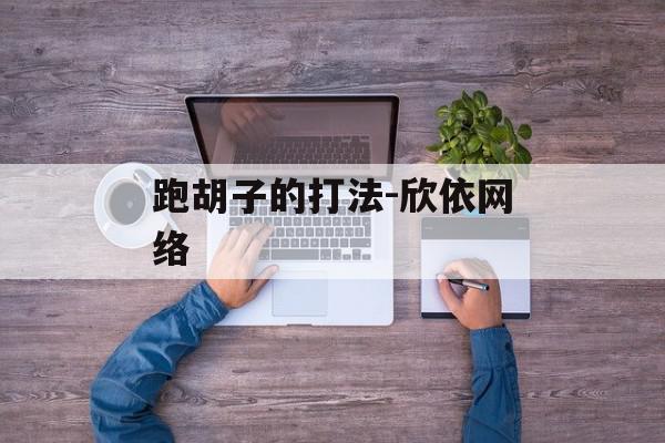跑胡子的打法-欣依网络