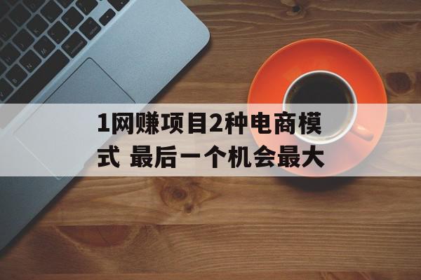 1网赚项目2种电商模式 最后一个机会最大