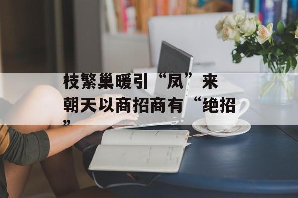 枝繁巢暖引“凤”来 朝天以商招商有“绝招”