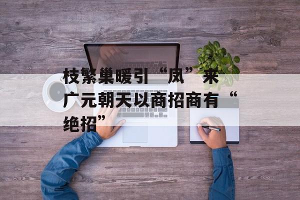 枝繁巢暖引“凤”来 广元朝天以商招商有“绝招”