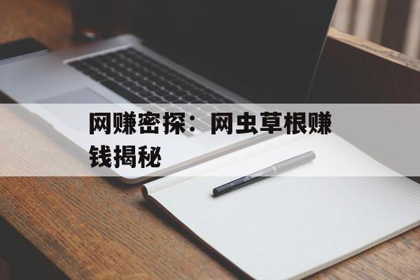 网赚密探：网虫草根赚钱揭秘
