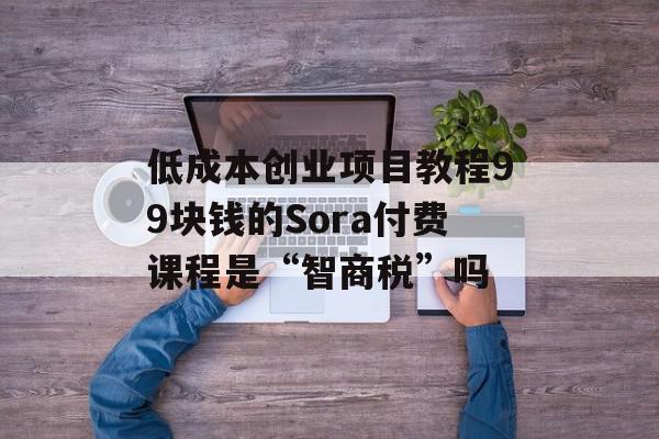 低成本创业项目教程99块钱的Sora付费课程是“智商税”吗