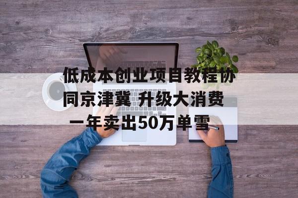 低成本创业项目教程协同京津冀 升级大消费 一年卖出50万单雪