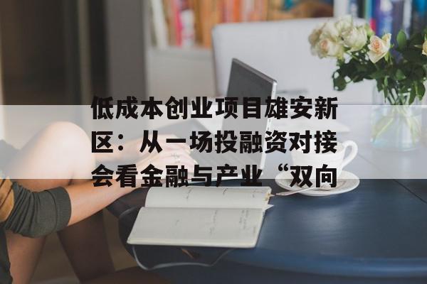 低成本创业项目雄安新区：从一场投融资对接会看金融与产业“双向