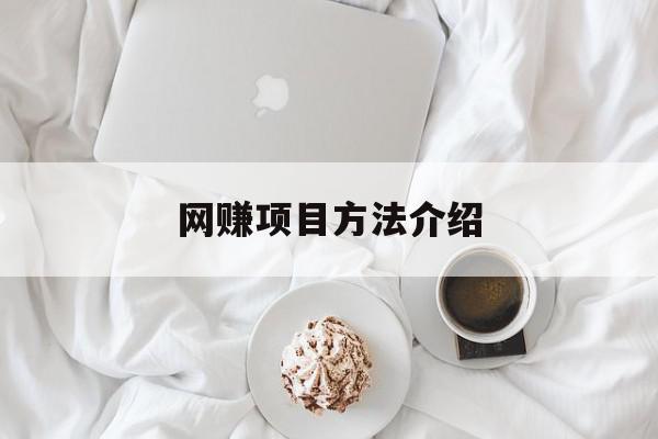 网赚项目方法介绍