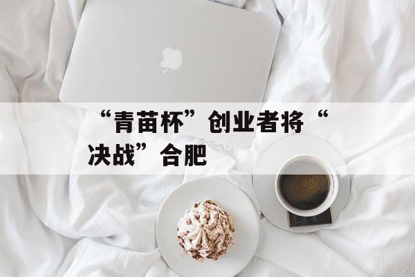 “青苗杯”创业者将“决战”合肥