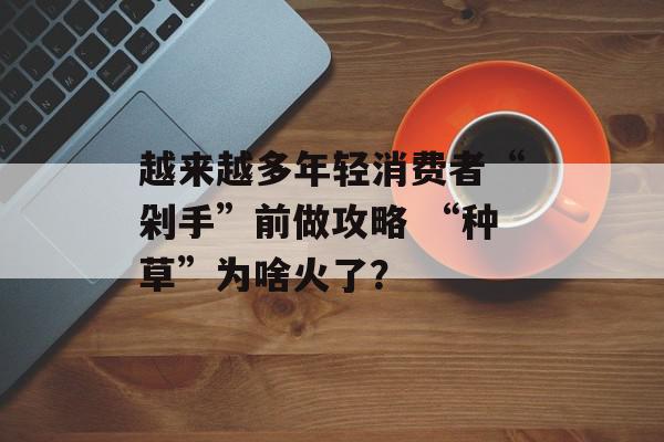 越来越多年轻消费者“剁手”前做攻略 “种草”为啥火了？