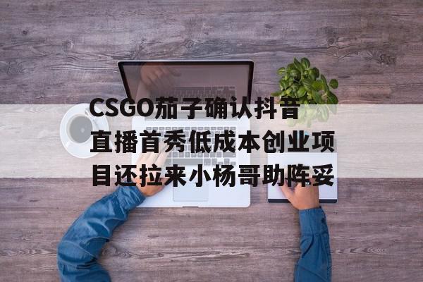 CSGO茄子确认抖音直播首秀低成本创业项目还拉来小杨哥助阵妥