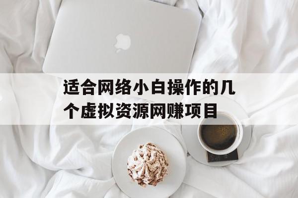 适合网络小白操作的几个虚拟资源网赚项目