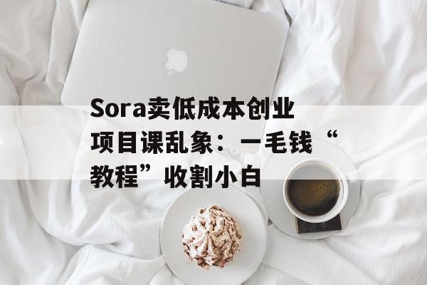 Sora卖低成本创业项目课乱象：一毛钱“教程”收割小白