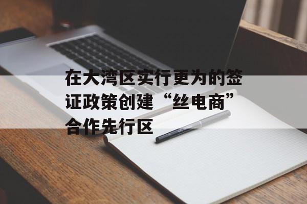 在大湾区实行更为的签证政策创建“丝电商”合作先行区
