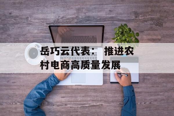 岳巧云代表： 推进农村电商高质量发展