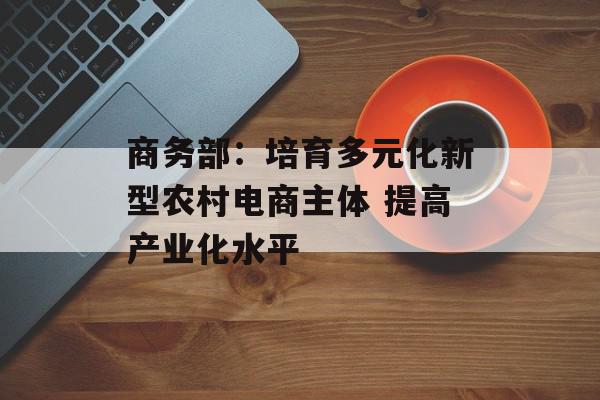 商务部：培育多元化新型农村电商主体 提高产业化水平