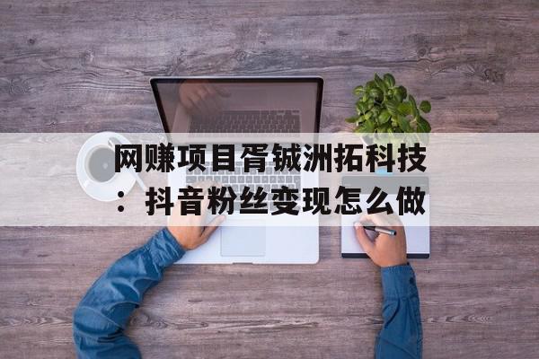 网赚项目胥铖洲拓科技：抖音粉丝变现怎么做