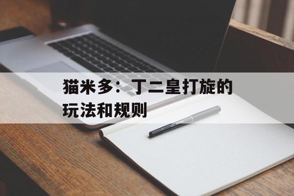 猫米多：丁二皇打旋的玩法和规则