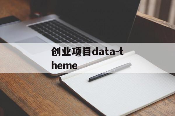 创业项目data-theme