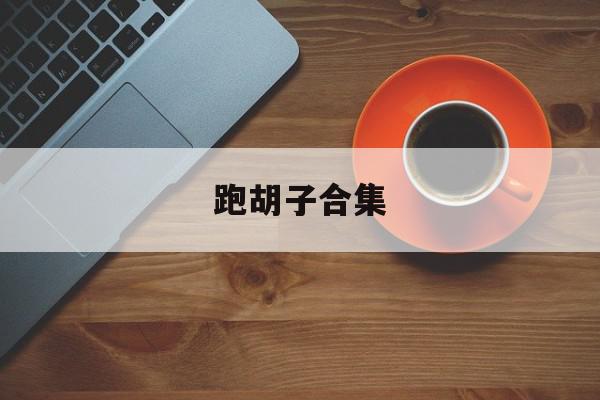 跑胡子合集