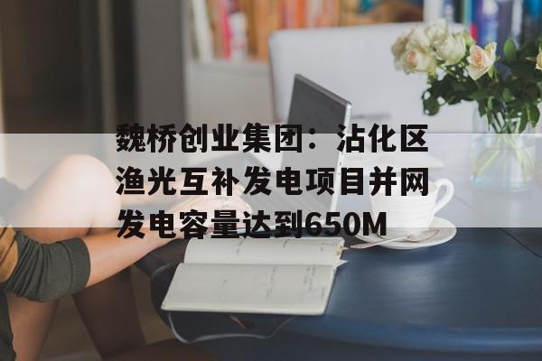 魏桥创业集团：沾化区渔光互补发电项目并网发电容量达到650M