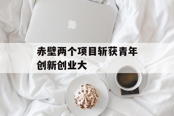赤壁两个项目斩获青年创新创业大