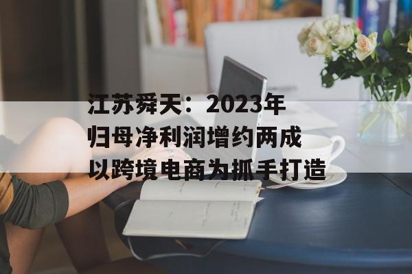 江苏舜天：2023年归母净利润增约两成 以跨境电商为抓手打造