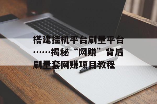 搭建挂机平台刷量平台……揭秘“网赚”背后刷量套网赚项目教程