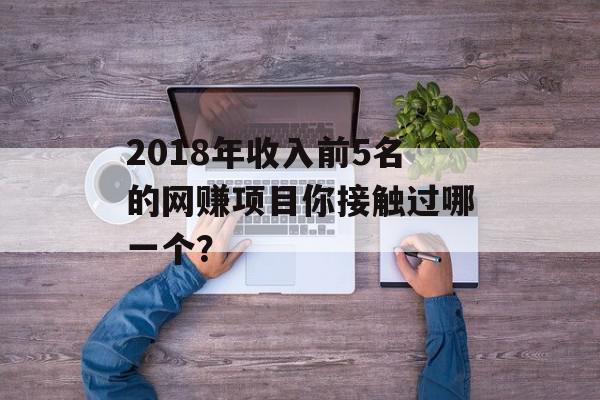 2018年收入前5名的网赚项目你接触过哪一个？