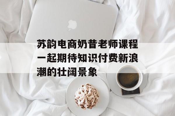 苏韵电商奶昔老师课程一起期待知识付费新浪潮的壮阔景象