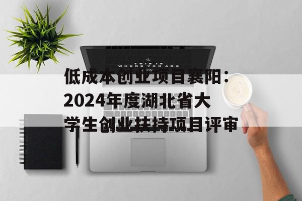 低成本创业项目襄阳：2024年度湖北省大学生创业扶持项目评审