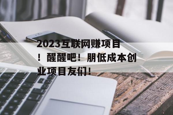 2023互联网赚项目！醒醒吧！朋低成本创业项目友们！
