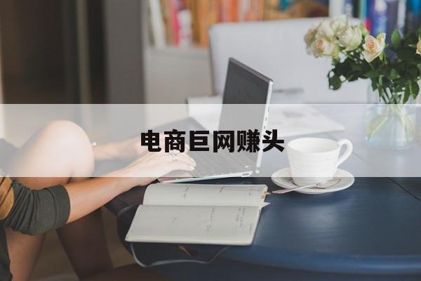 电商巨网赚头