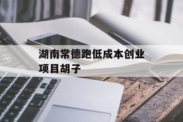 湖南常德跑低成本创业项目胡子