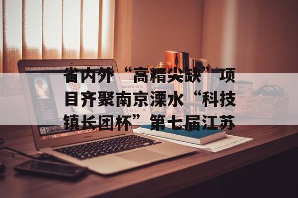 省内外“高精尖缺”项目齐聚南京溧水“科技镇长团杯”第七届江苏