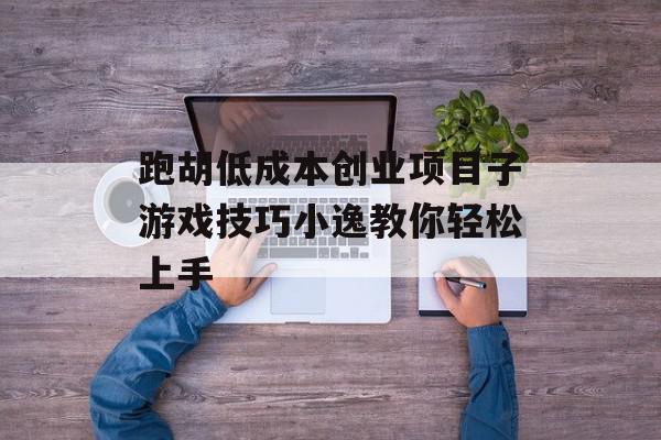 跑胡低成本创业项目子游戏技巧小逸教你轻松上手
