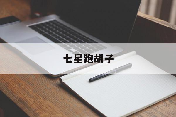七星跑胡子