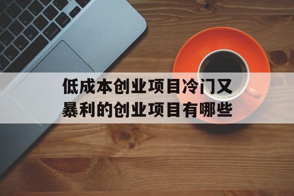 低成本创业项目冷门又暴利的创业项目有哪些