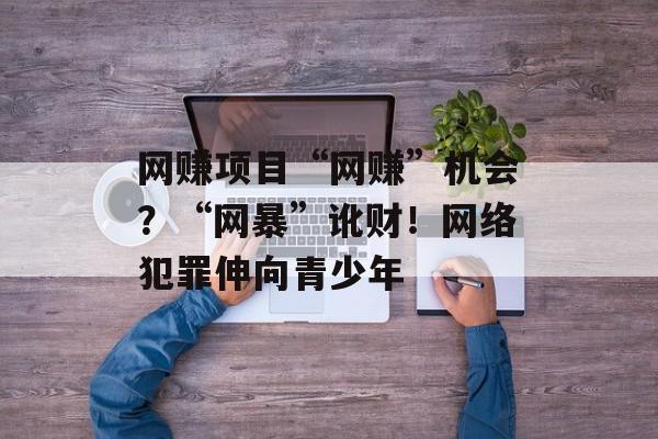 网赚项目“网赚”机会？“网暴”讹财！网络犯罪伸向青少年