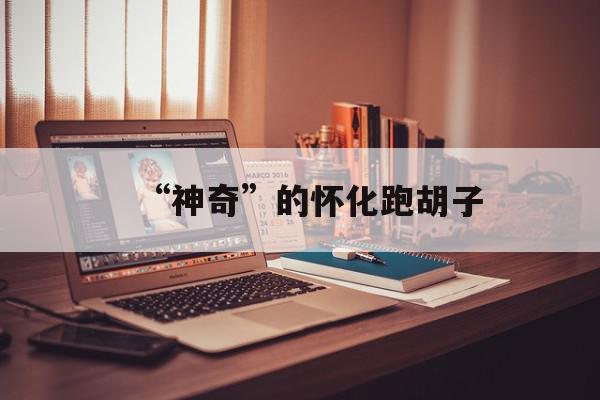 “神奇”的怀化跑胡子