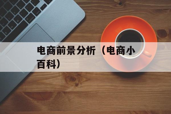 电商前景分析（电商小百科）
