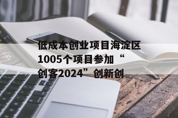 低成本创业项目海淀区1005个项目参加“创客2024”创新创