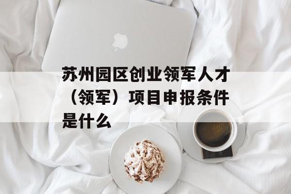 苏州园区创业领军人才（领军）项目申报条件是什么
