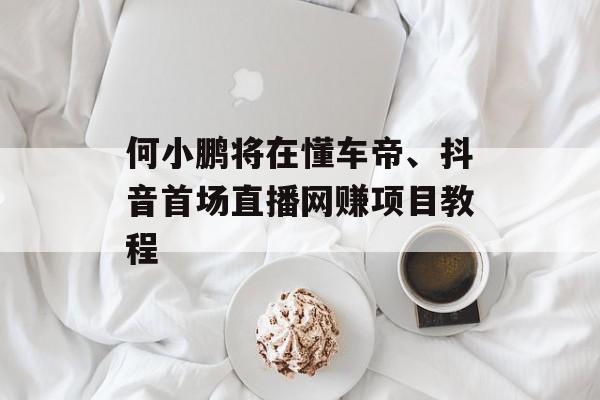 何小鹏将在懂车帝、抖音首场直播网赚项目教程