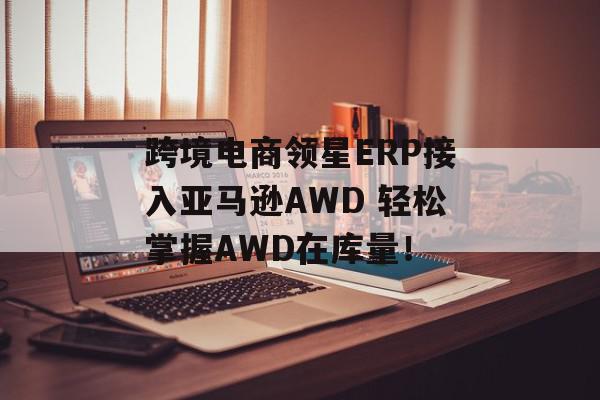 跨境电商领星ERP接入亚马逊AWD 轻松掌握AWD在库量！