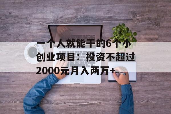 一个人就能干的6个小创业项目：投资不超过2000元月入两万+