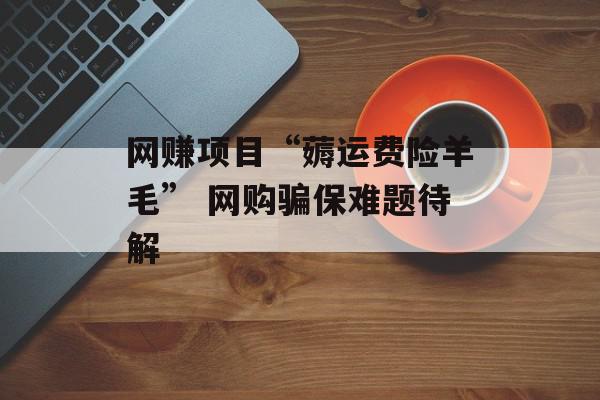 网赚项目“薅运费险羊毛” 网购骗保难题待解
