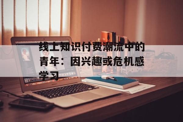 线上知识付费潮流中的青年：因兴趣或危机感学习