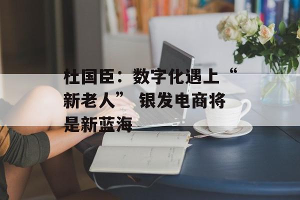 杜国臣：数字化遇上“新老人” 银发电商将是新蓝海