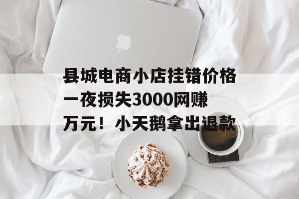 县城电商小店挂错价格一夜损失3000网赚万元！小天鹅拿出退款