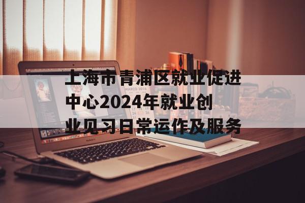 上海市青浦区就业促进中心2024年就业创业见习日常运作及服务